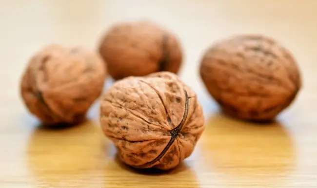 10 Alimentos que aceleran tu metabolismo