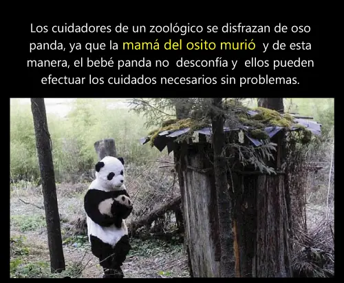 cosas recicladas