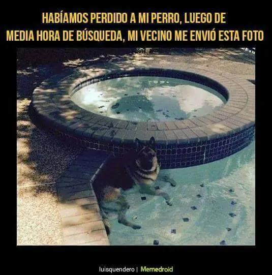 Reite con estas imagenes Maquinola