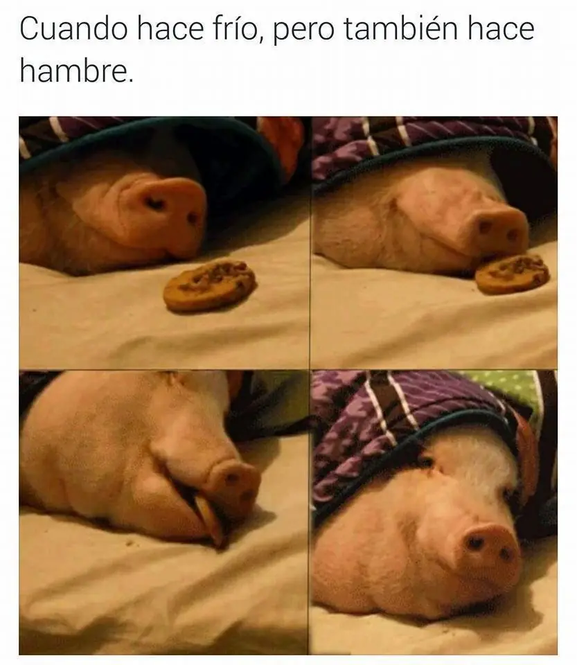 imagenes
