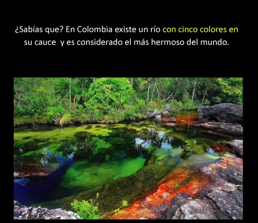 cosa de la vida