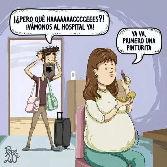 gatos