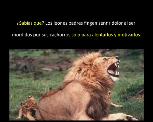 cosas que no sabias