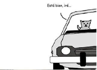 gatos