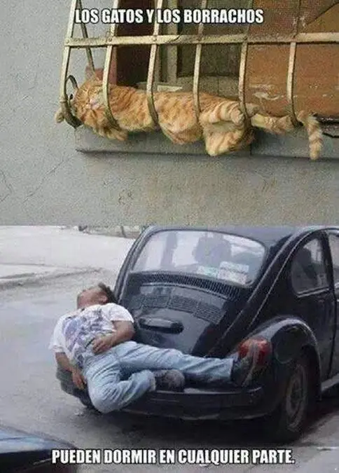 humor