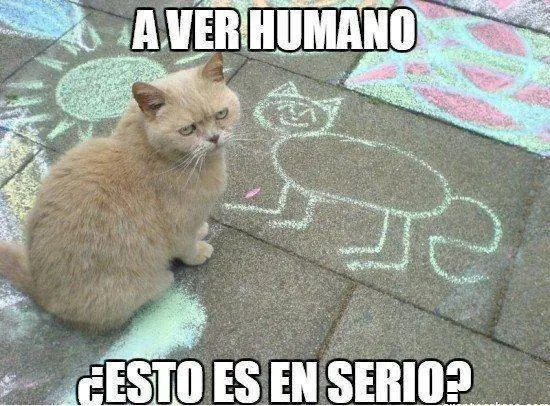lince