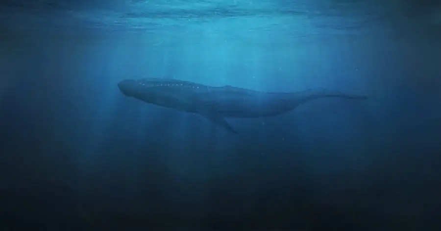 52 Blue: La ballena más misteriosa del mundo.