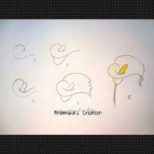 aprende a dibujar