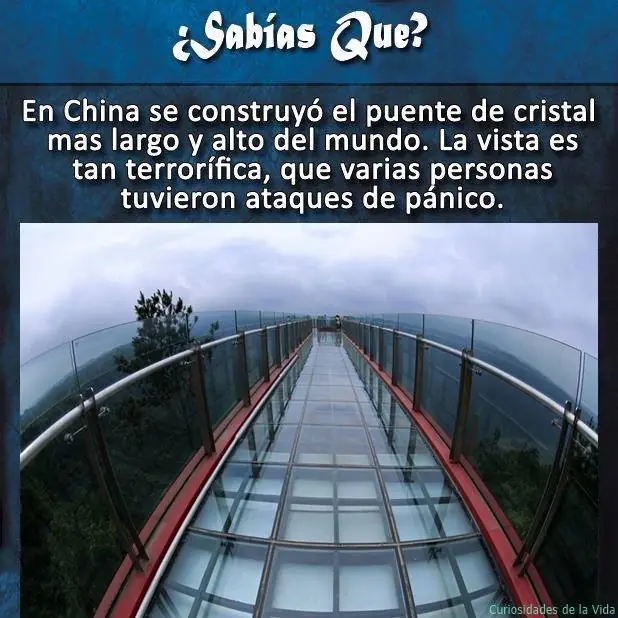 cosa de la vida