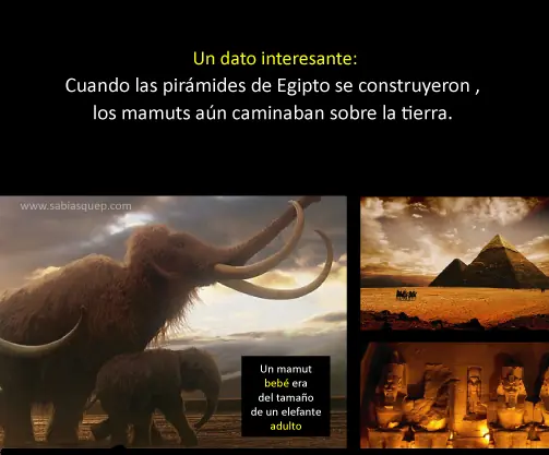 cosas que no sabias