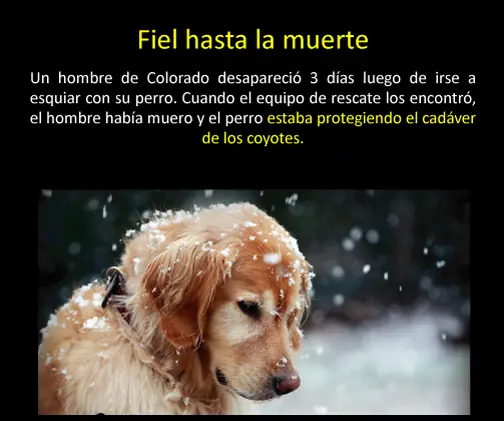 cosas que no sabias