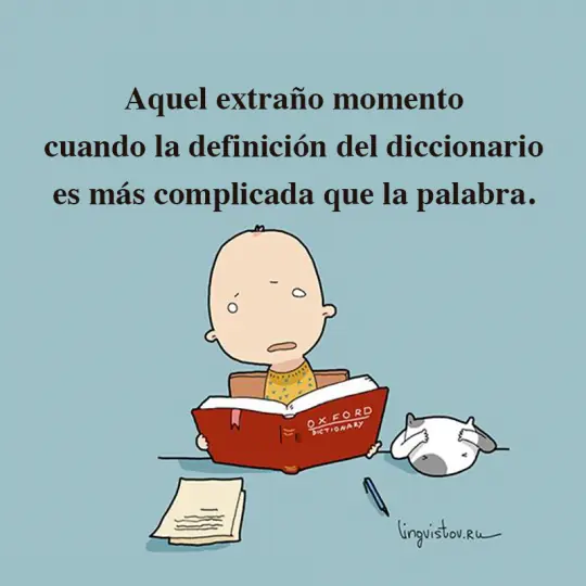 gatos