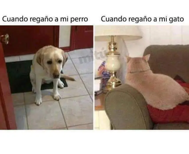 humor mexicano