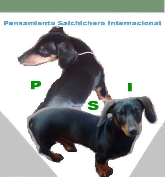 Chiste