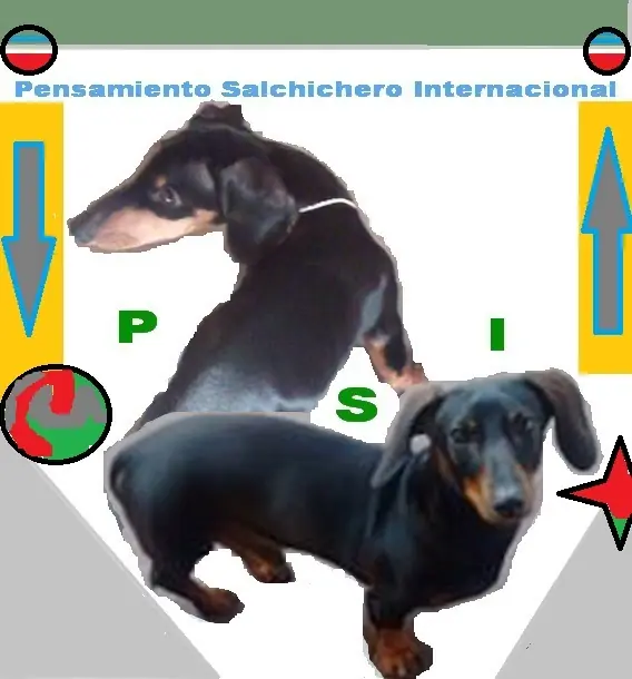 asociaciones asociaciones