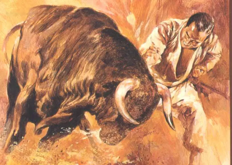 mas oyama