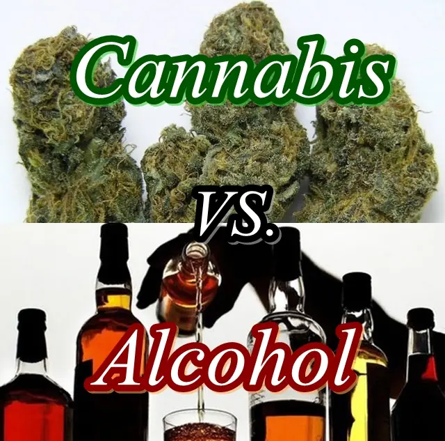 ¿Alcohol o marihuana? Un pediatra enfrenta la pregunta.