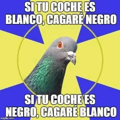 humor