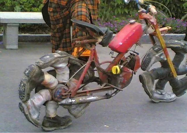 imagenes curiosas