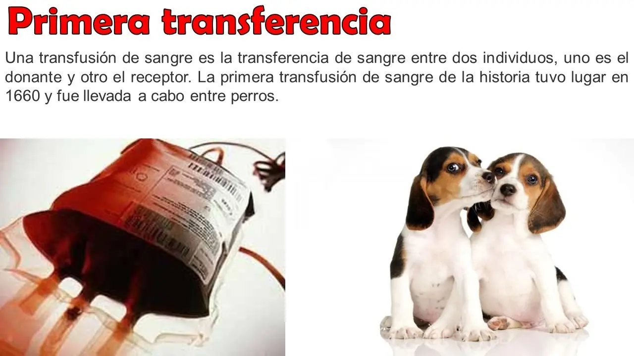 datos