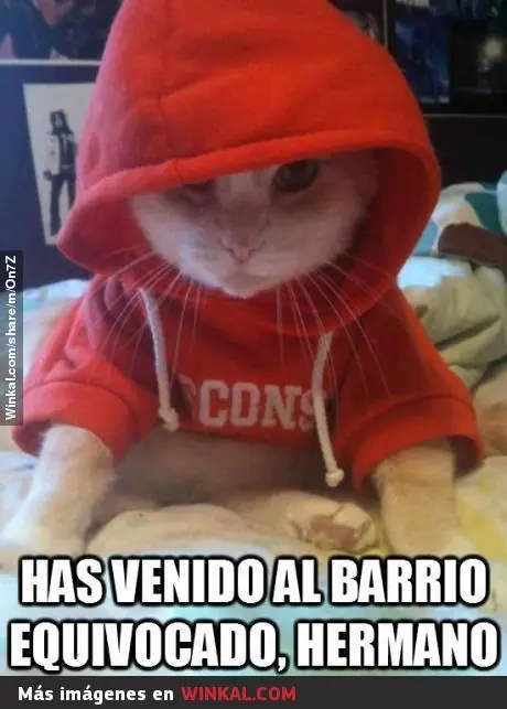 gatuno