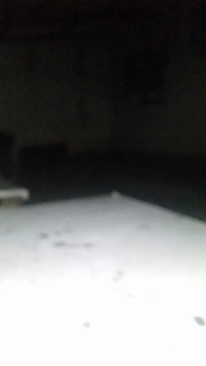 paranormal