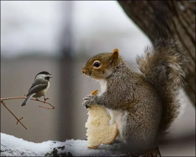 imagenes curiosas