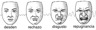 sentimientos