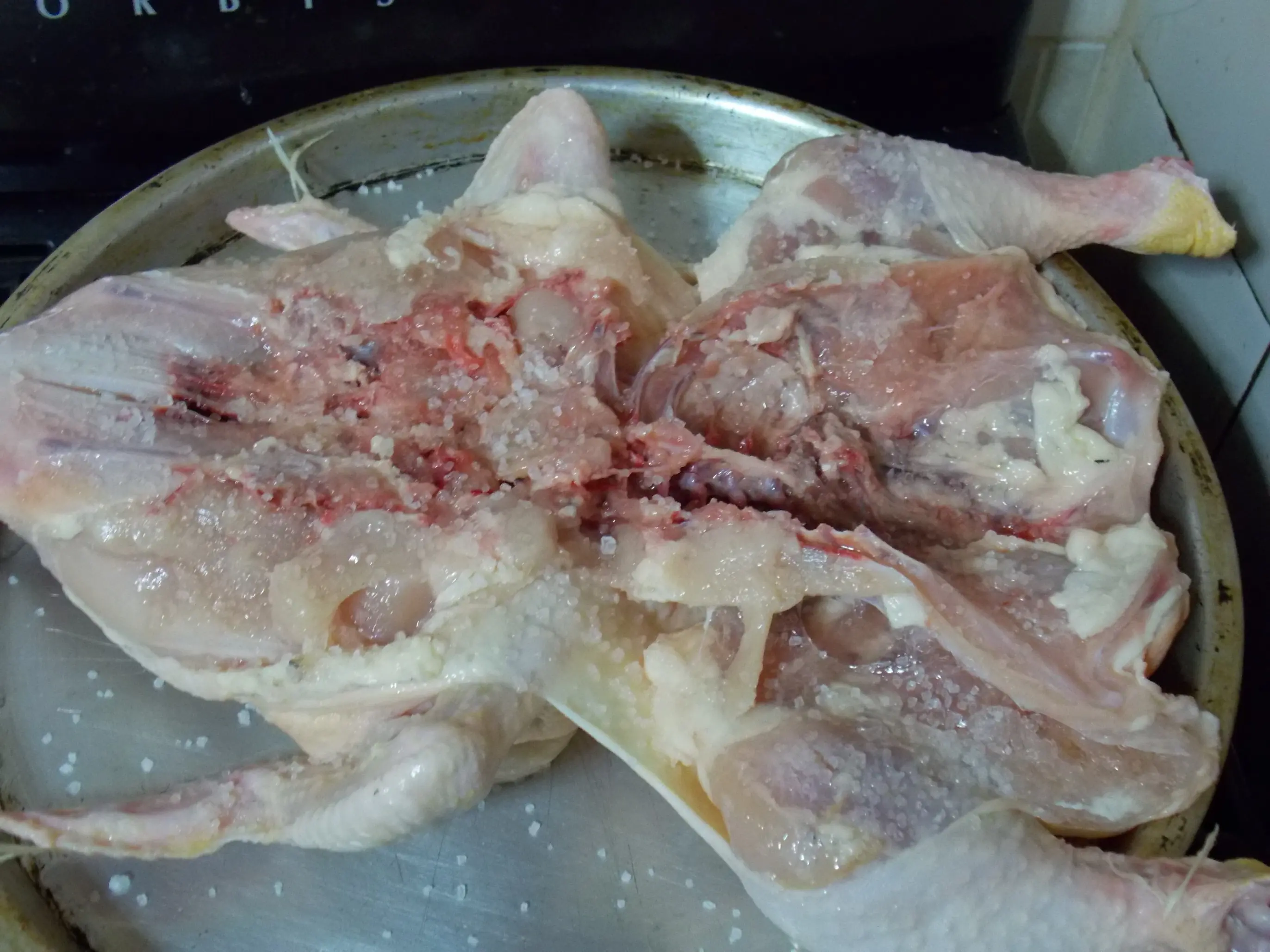 Pollo Pollo