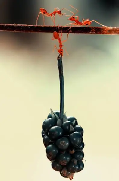 imagenes curiosas