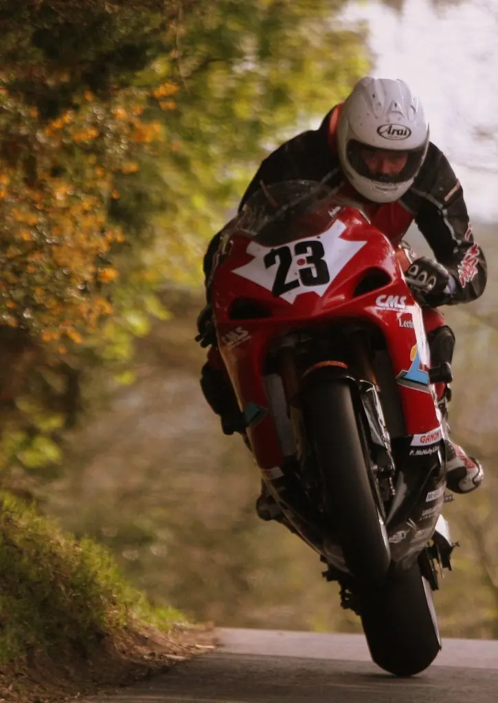 motores motores