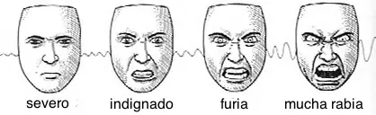 Dibujo