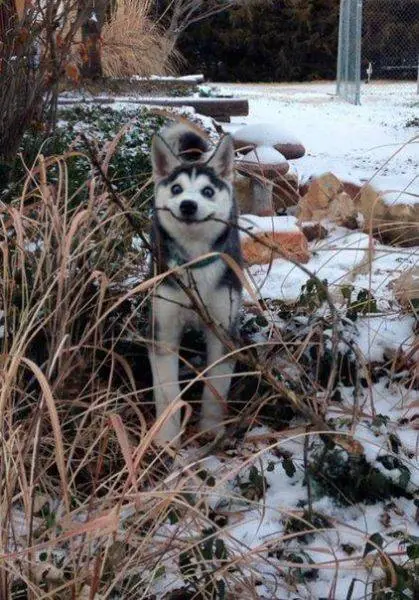 imagenes divertidas
