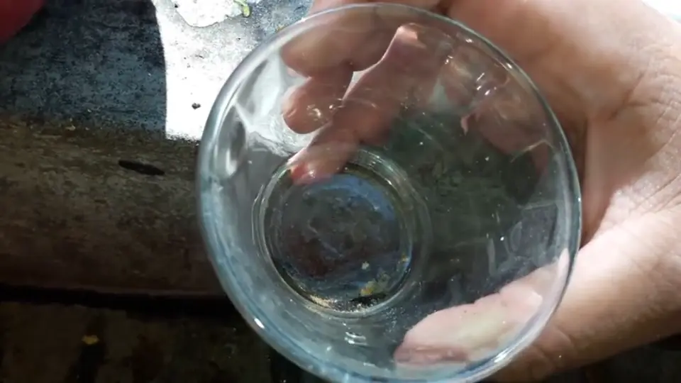 pepitas