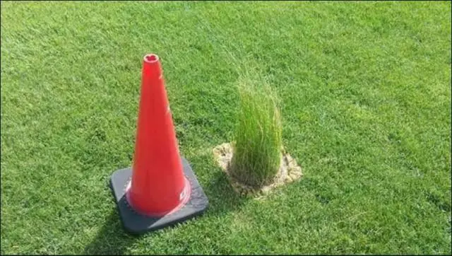 lo mejor que veras hoy