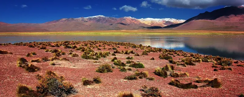 BRC