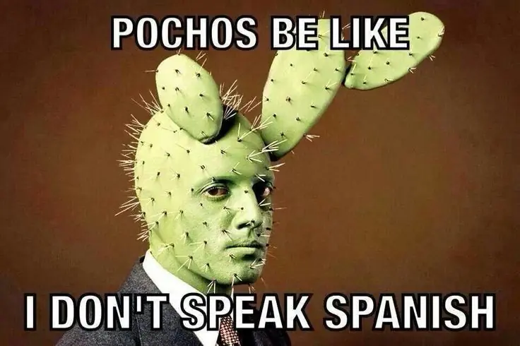 humor para desvelados