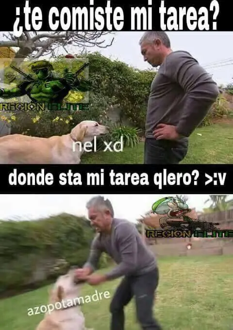 memes mexicanos