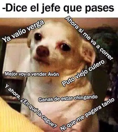 humor