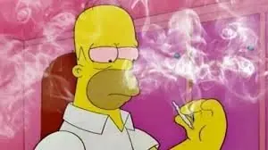 Cannabis