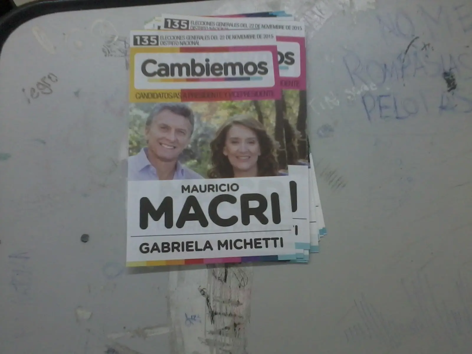 elecciones 2015