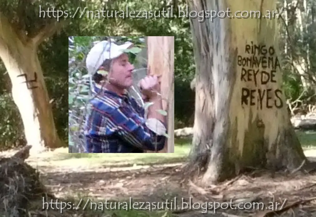 Un llamado a las autoridades, bosque en peligro!!!
