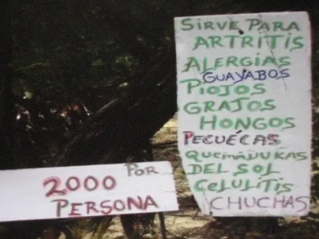 curanderos