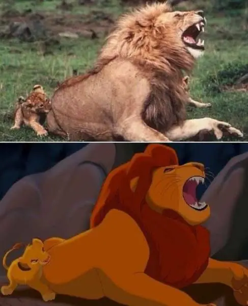 humor megapost