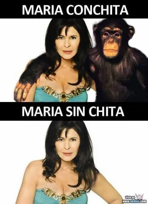 humor 2016