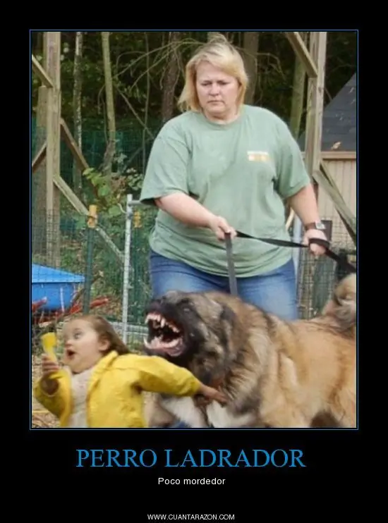 humor