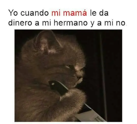 memes mexicanos