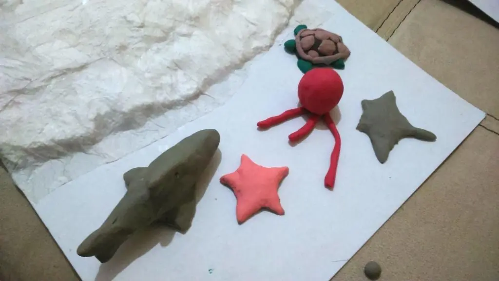 Te enseño a hacer una maqueta Aqua/Terra