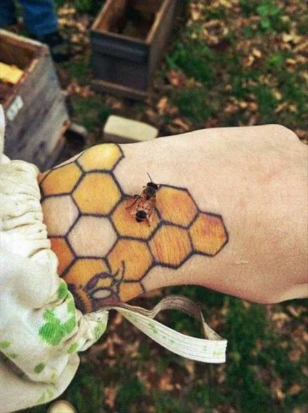 imagenes divertidas