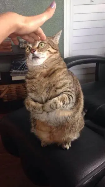 viernes